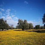 بيت للعطل Le Dimore Di Mama سيغلي ميسابيكا