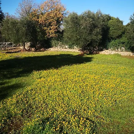 Le Dimore Di Mama
