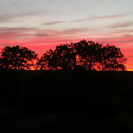 Le Dimore Di Mama Ceglie Messapica